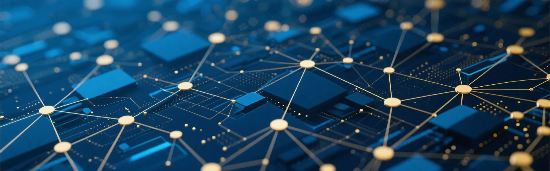 Digital Network